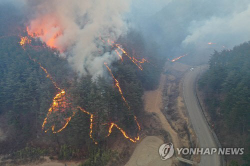 6일 현재 경북 울진 산불이 강풍을 따라 다시 남하하면서 피해를 키우고 있다. 연합뉴스